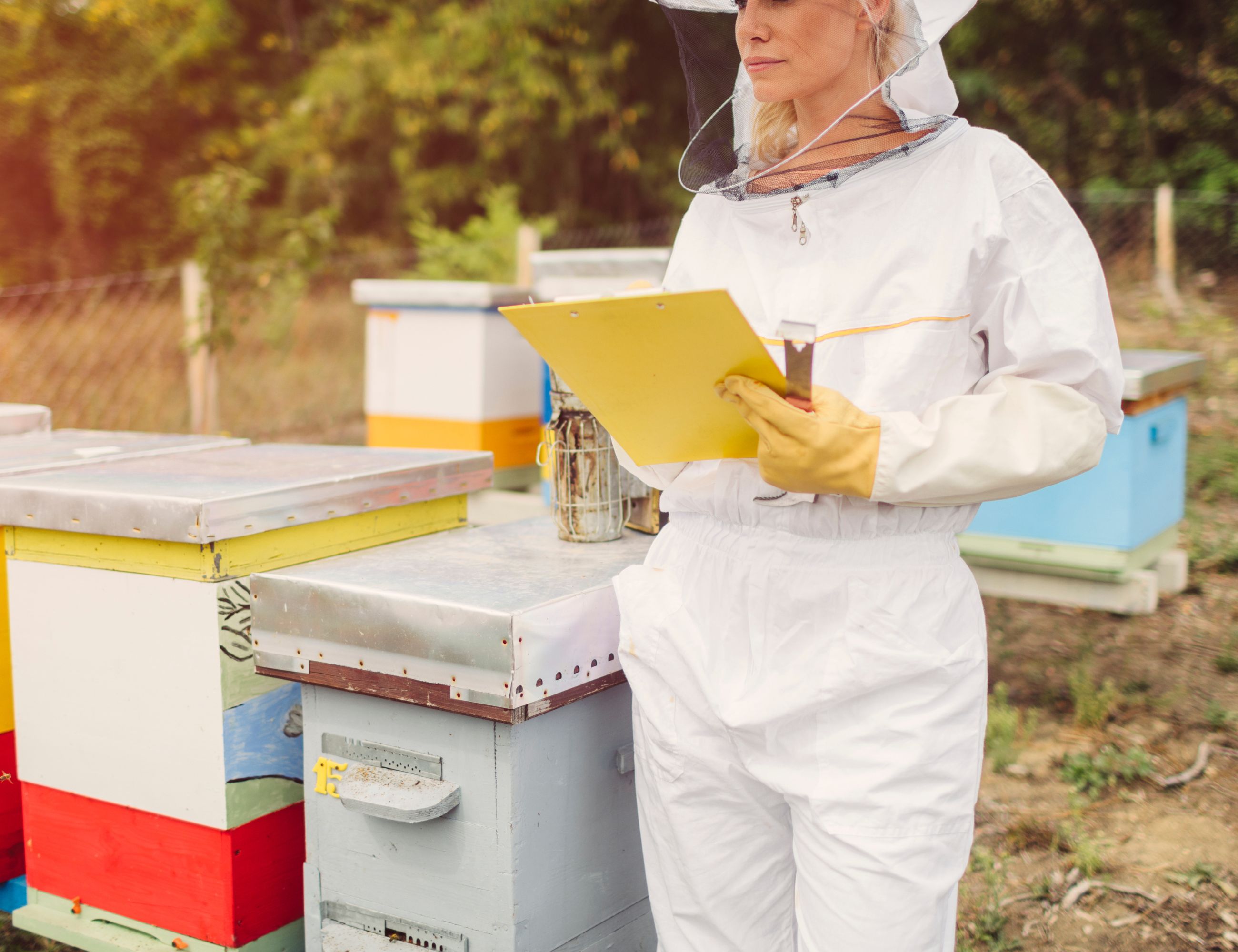 beekeeping log book with person