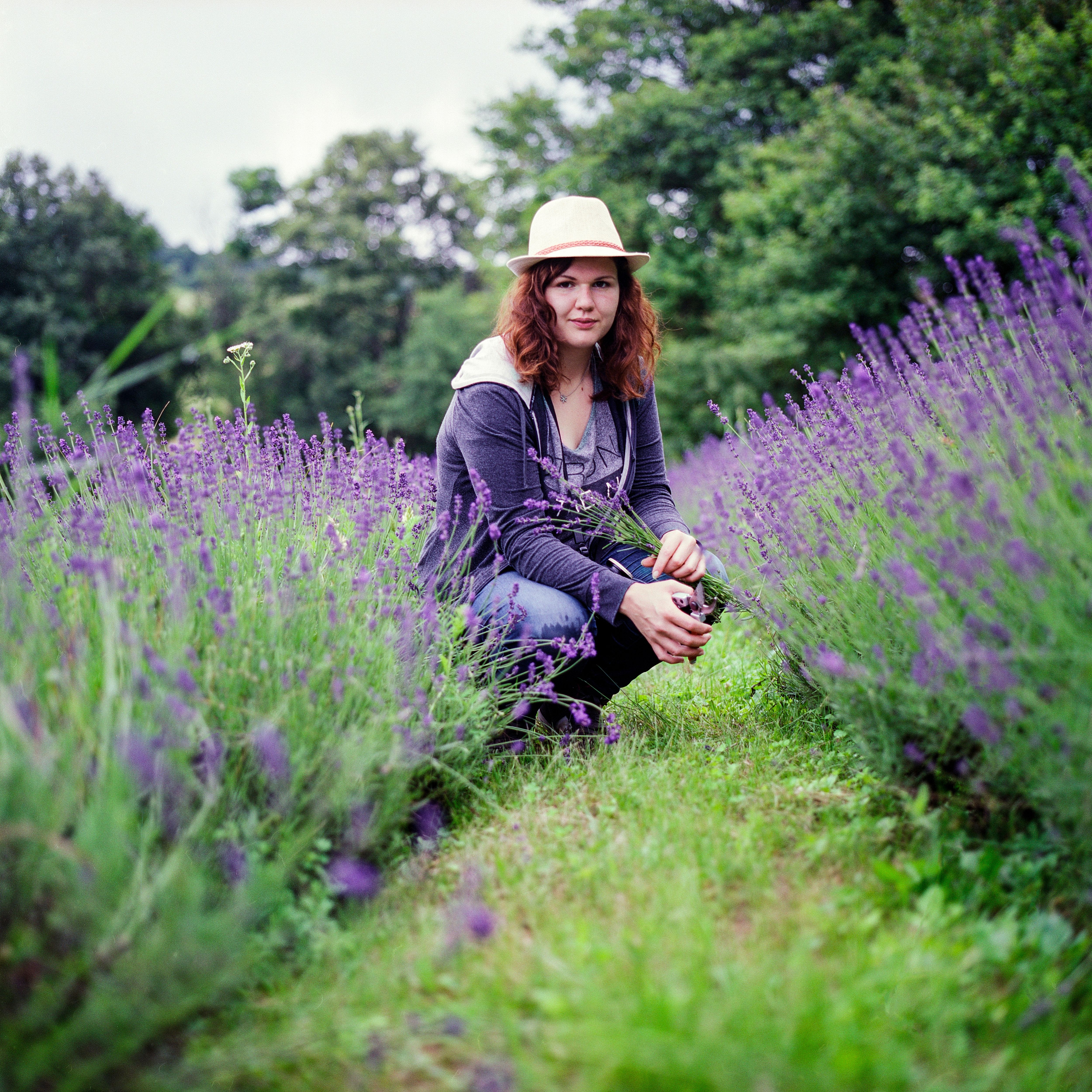 woman in a no dig garden of lavender