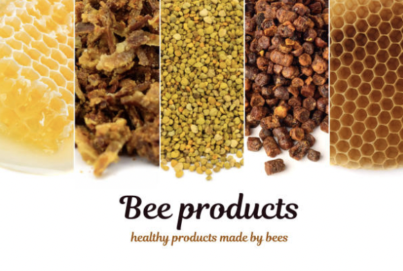 bee products, honey, propolis beeswax