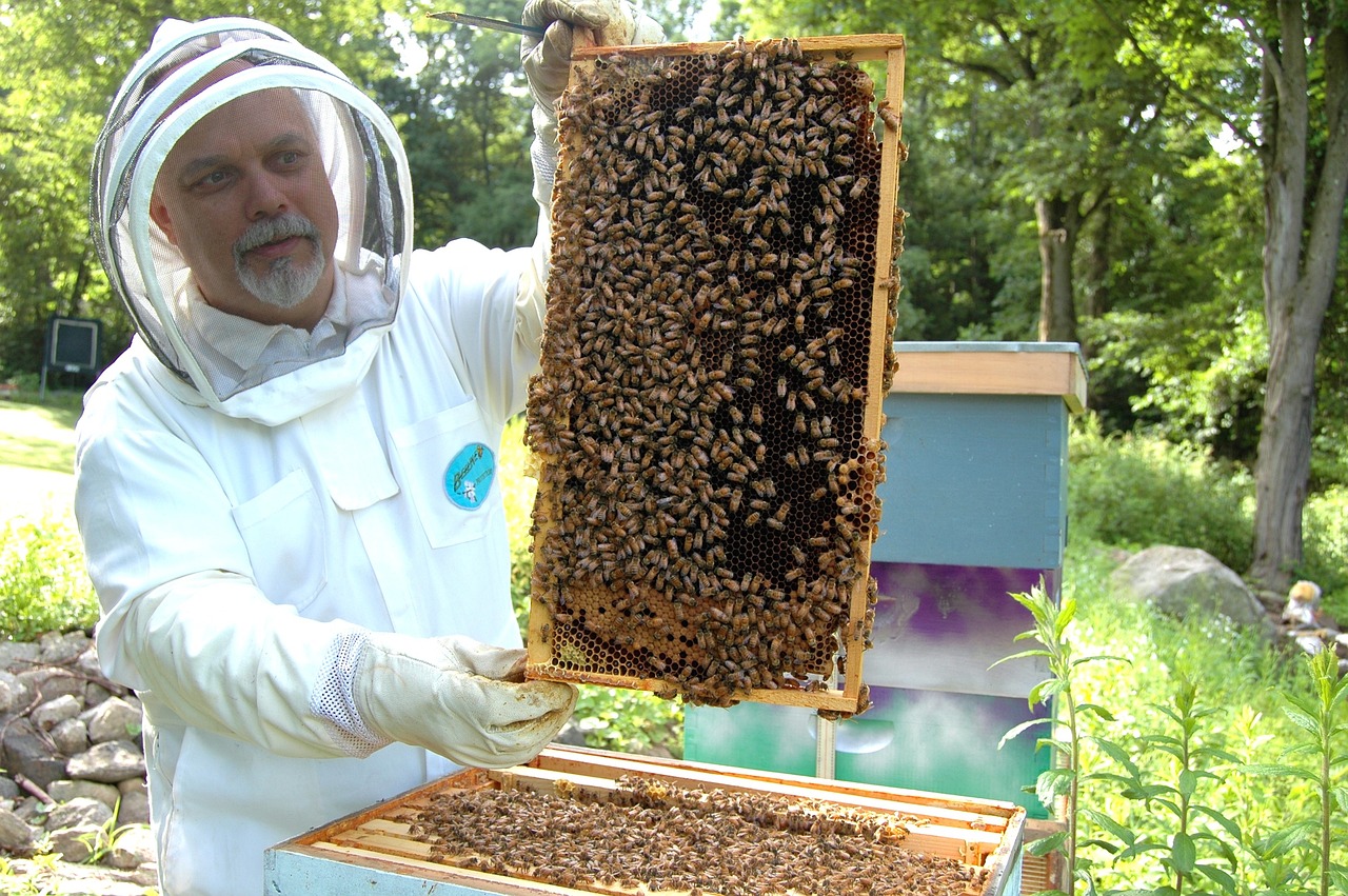 beekeeper with frame of bees