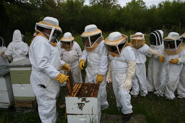 beekeepers in a group setting
