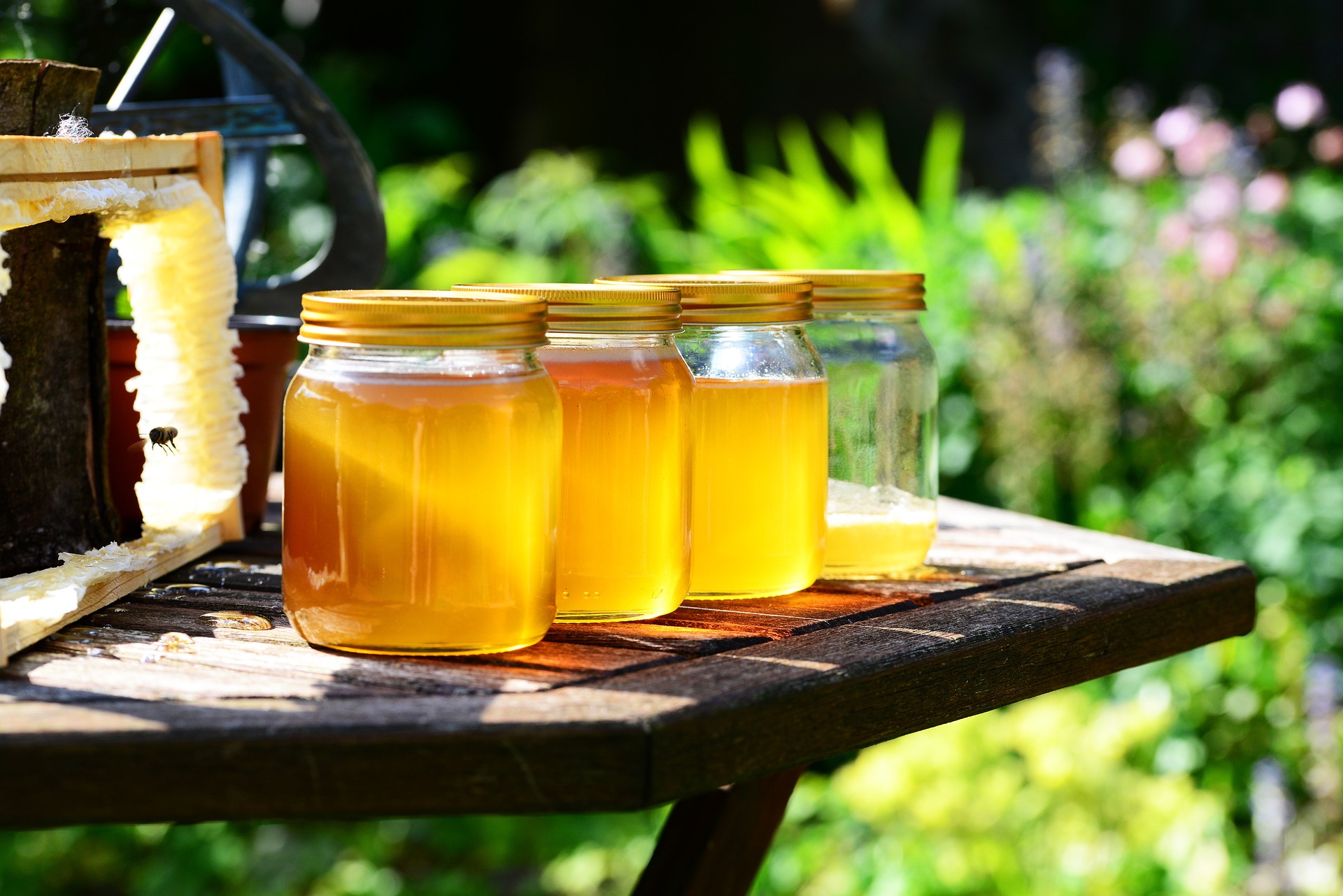 honey in clear jars in a row outside on a bench