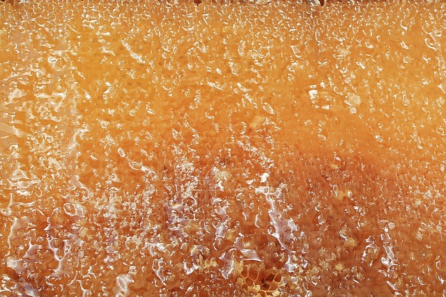 raw honey on frame