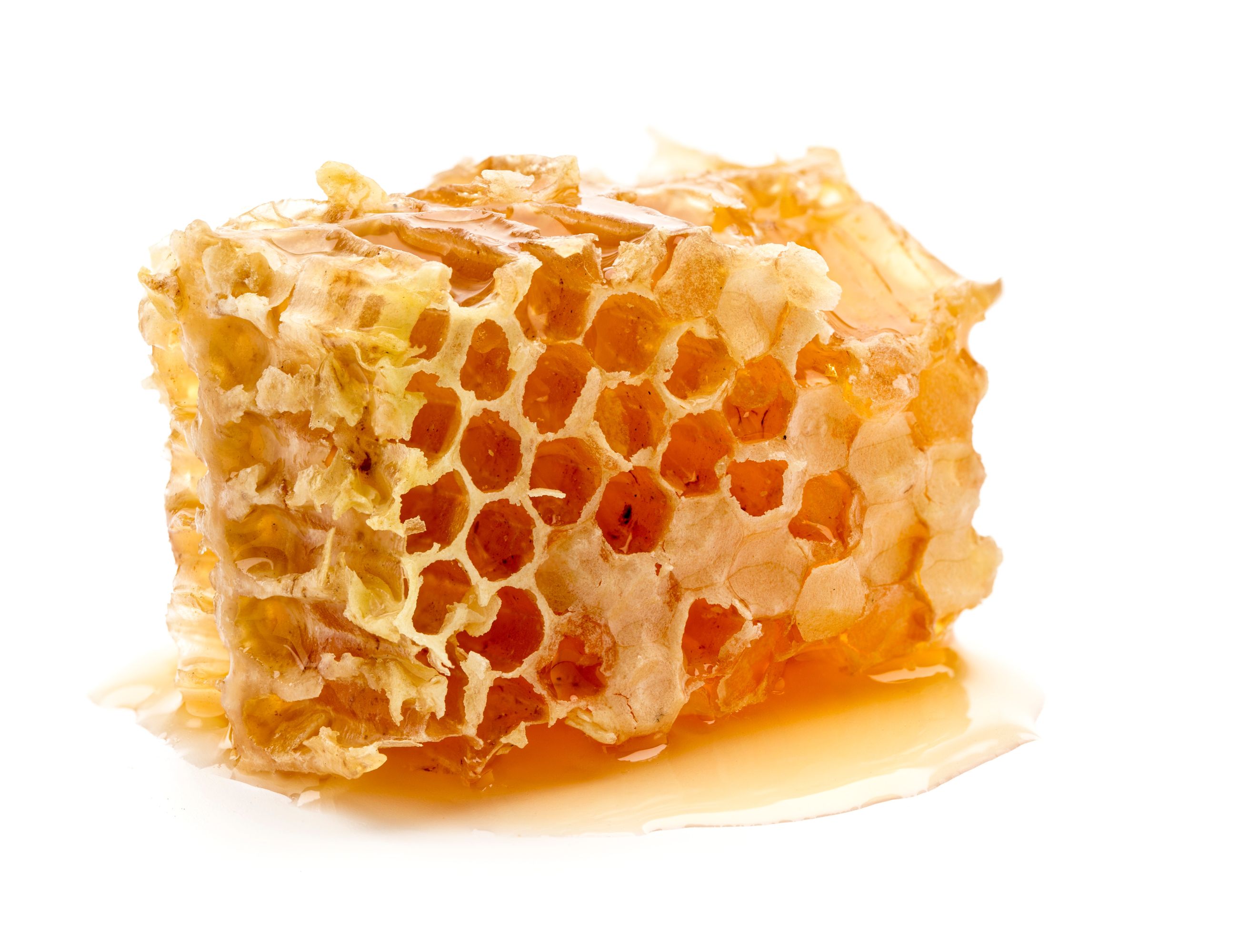 a piece of raw honey with pollen