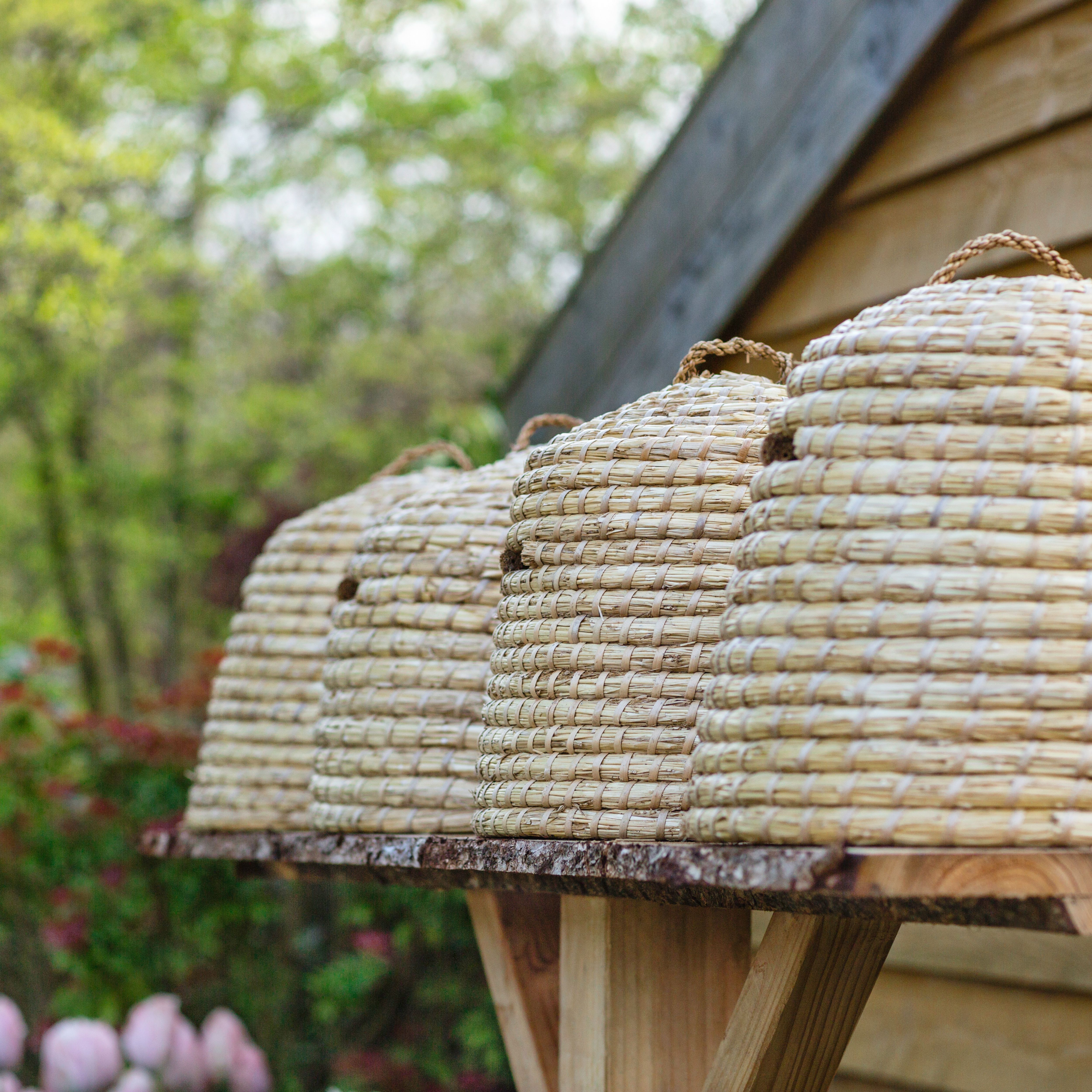 skep hives