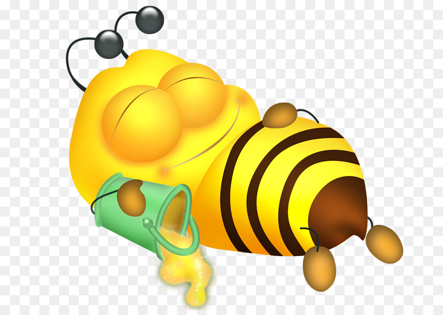 Where Do Bees Sleep?