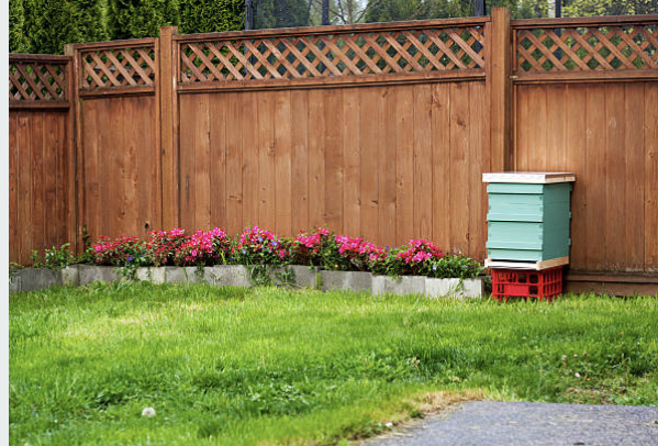 backyard-beekeeping