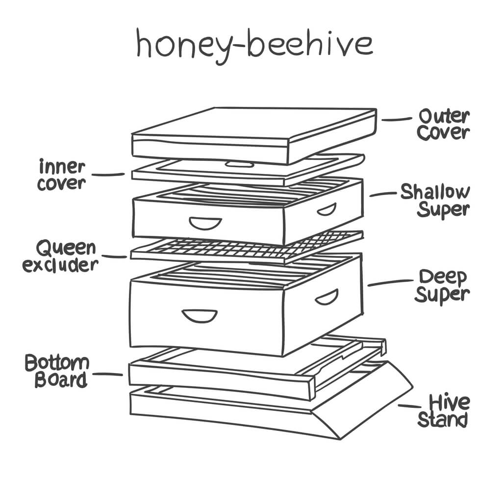 What Do You Call A Honey Bees House?