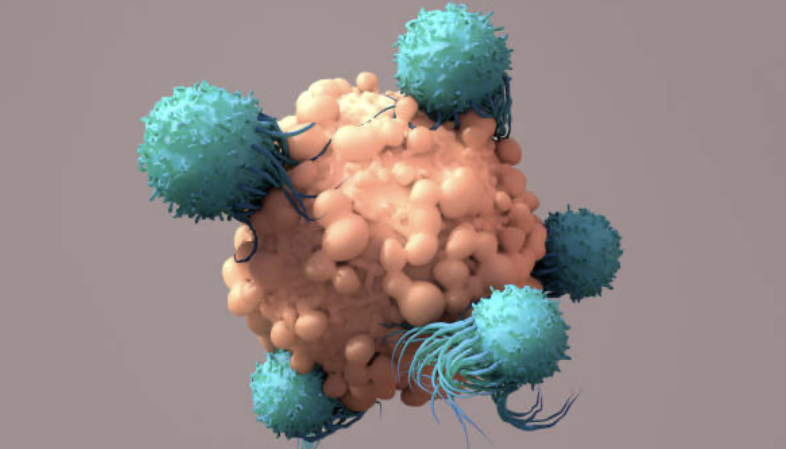 immune response to cancer cell