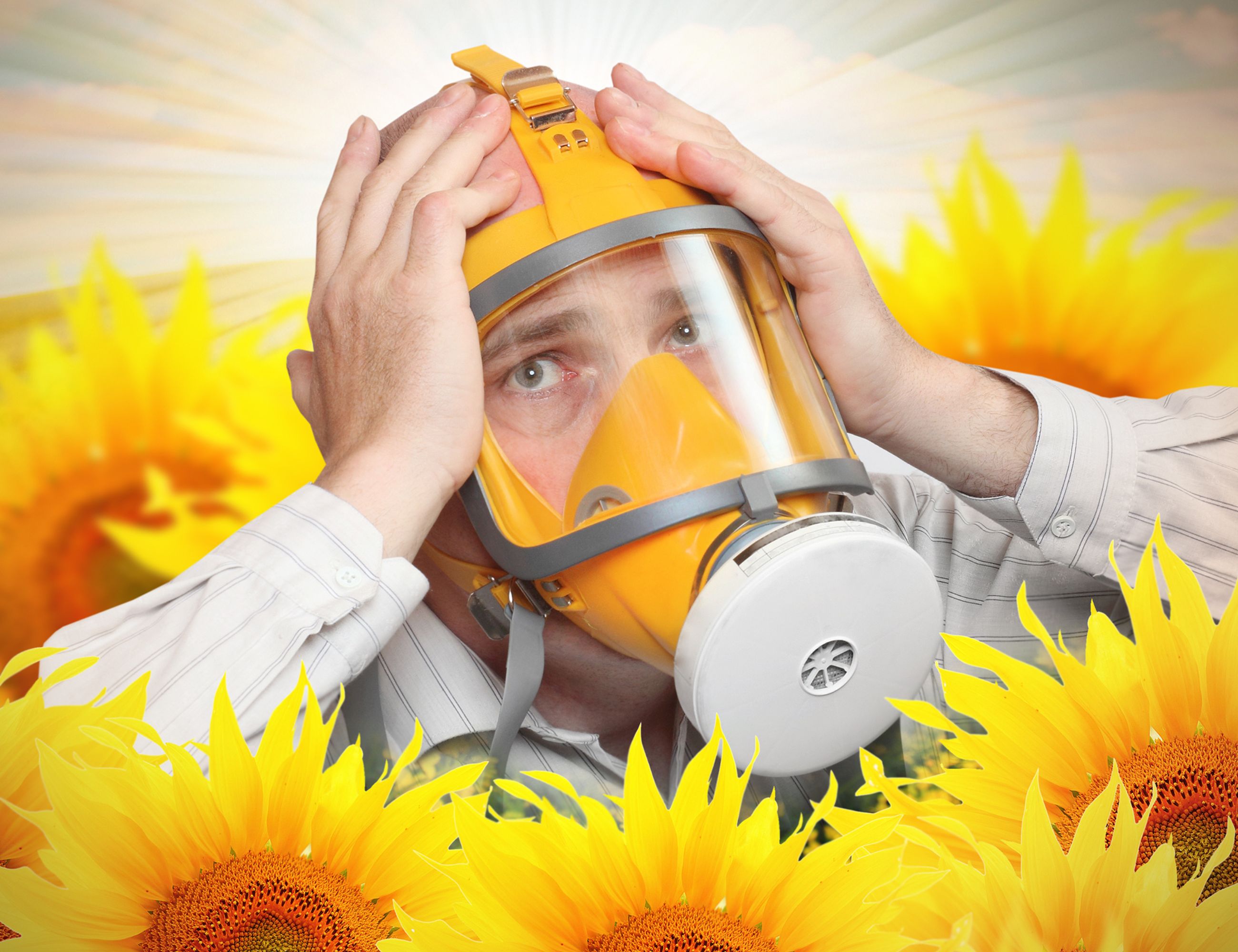 man in a facemask around sunflowers